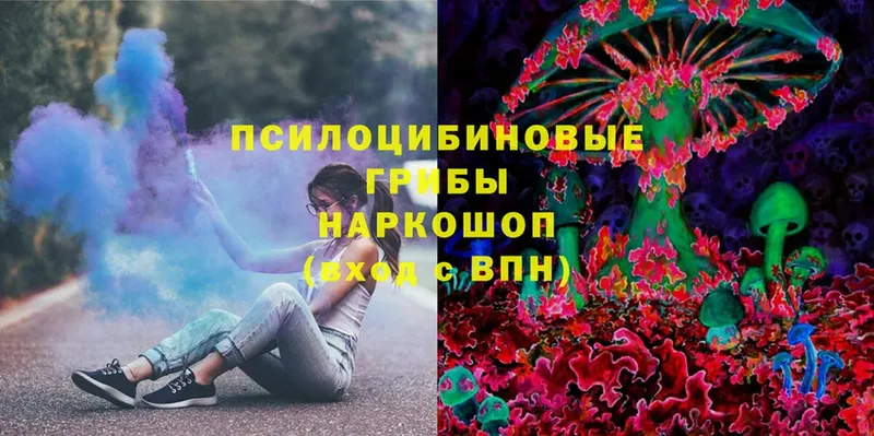 Псилоцибиновые грибы Magic Shrooms  Балабаново 